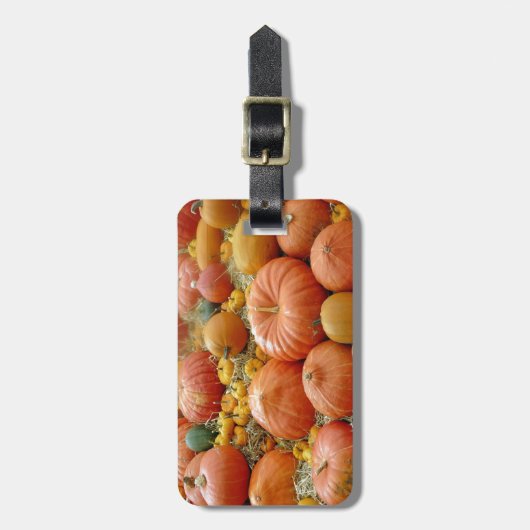 Squashes Galore Gepäckanhänger (Vorderseite vertikal)