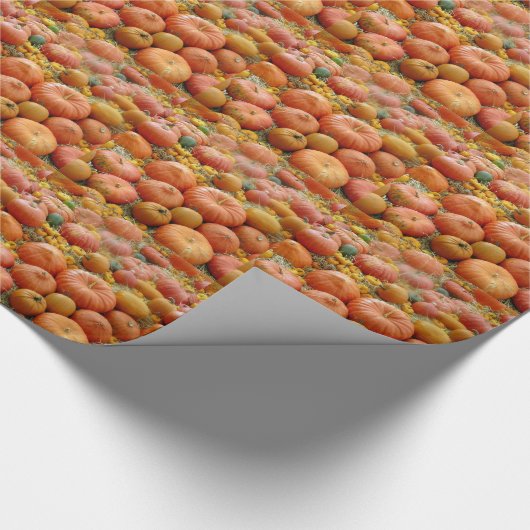 Squashes Galore Geschenkpapier (Ecke)