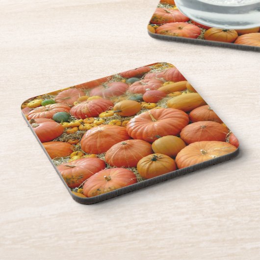 Squashes Galore Getränkeuntersetzer (Linke Seite)