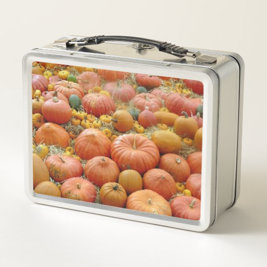 Squashes Galore Metall Lunch Box (Rückseite)