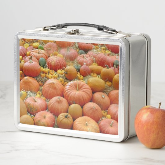 Squashes Galore Metall Lunch Box (Beispiel)