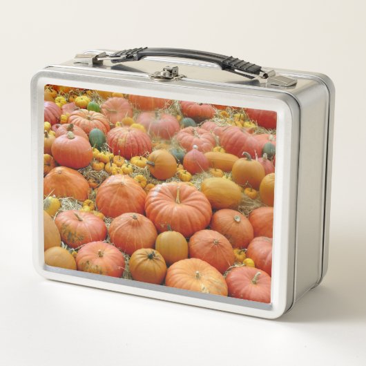 Squashes Galore Metall Lunch Box (Vorderseite)