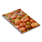Squashes Galore Notizblock (Rechte Seite)