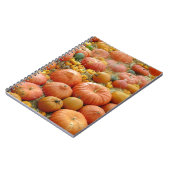 Squashes Galore Notizblock (Linke Seite)