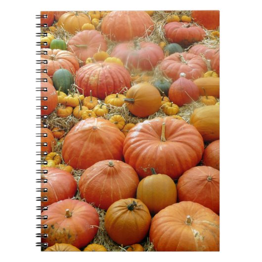 Squashes Galore Notizblock (Vorderseite)