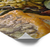 Squashvariante Poster (Ecke)