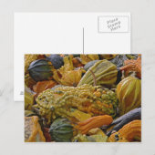 Squashvariante Postkarte (Vorne/Hinten)