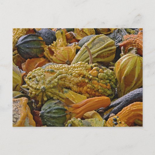 Squashvariante Postkarte (Vorderseite)