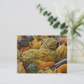 Squashvariante Postkarte (Stehend Vorderseite)