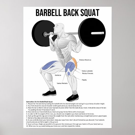 Squat - Übung - Diagramm der Muskelanatomie Poster (Vorne)