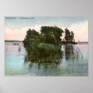 Squaw Island, Canandaigua Lake, NY Vintag Poster