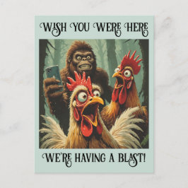 “Squawk & Snapshot” Cheesy Chicken Postkarte