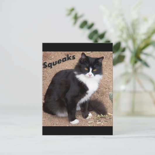 Squeaks Postkarte (Stehend Vorderseite)