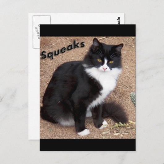 Squeaks Postkarte (Vorne/Hinten)