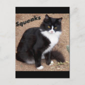 Squeaks Postkarte (Vorderseite)