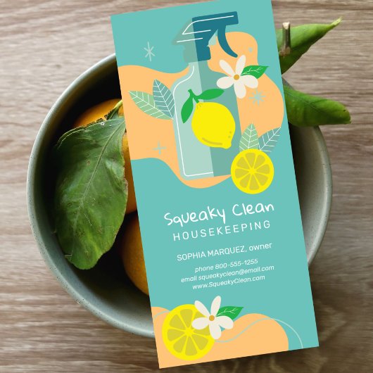 Squeaky Clean Marketing Werbekarte