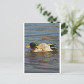 Squeaky Postkarte (Stehend Vorderseite)