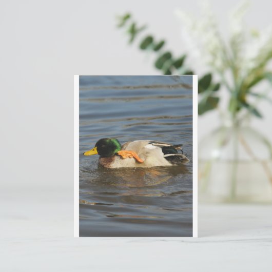 Squeaky Postkarte (Stehend Vorderseite)