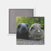 Squee & Scruffles Magnet (Vorderseite/Rückseite)