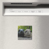 Squee & Scruffles Magnet (In Situ (Geschirrspüler))