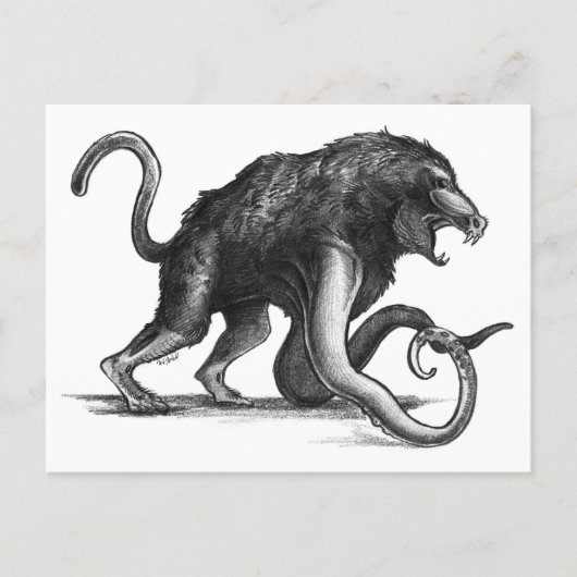 Squiboon - Postkarte (Vorderseite)