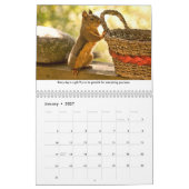 Squiggy the Squirrel Inspirational Wall Calendar Kalender (Jan 2027)