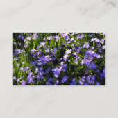 Squill Blume und Holz Visitenkarte (Rückseite)