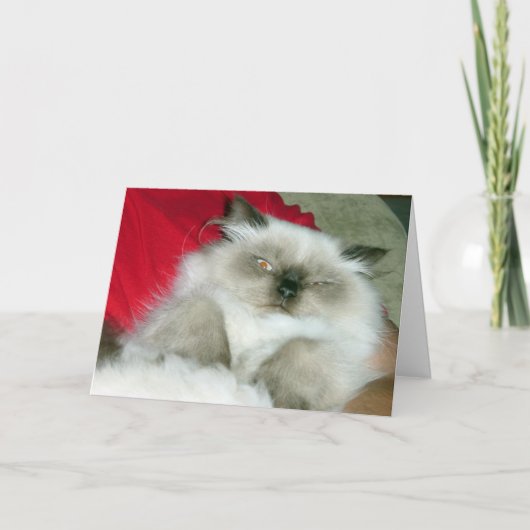 Squinty Himmy Karte (Vorderseite)