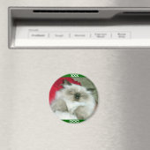 Squinty Himmy Magnet (In Situ (Geschirrspüler))