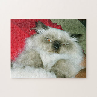 Squinty Himmy Puzzle