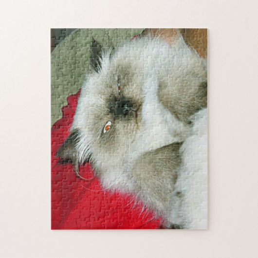 Squinty Himmy Puzzle (Vertikal)