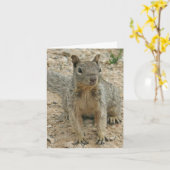 Squirel Karte (Gelbe Blume)