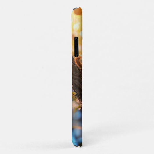 Squirels Print IPhone 11 Hüllen (Hinten/Rechts)