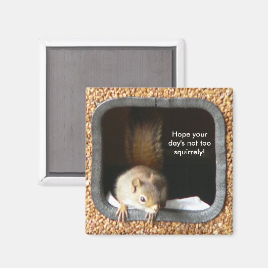 Squirly Magnet (Vorderseite/Rückseite)