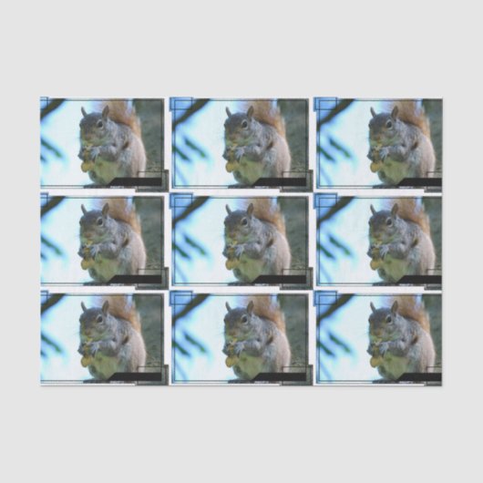 squirrel-13.jpg seidenpapier (Vorderseite)