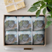 squirrel-13.jpg seidenpapier (Geschenk)