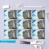 squirrel-13.jpg seidenpapier (Handwerk)