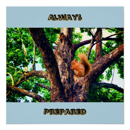 Squirrel Animal Poster (Vorderseite)