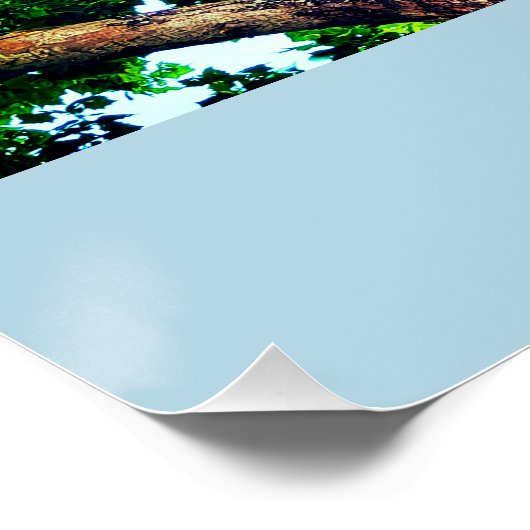 Squirrel Animal Poster (Ecke)