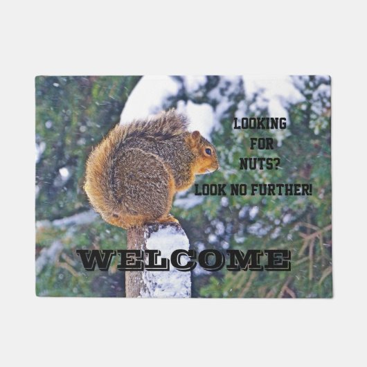 SQUIRREL AUF SCHNEEBEDECKTEN POST/SUCHEN NACH NUTS FUßMATTE (Vorderseite)