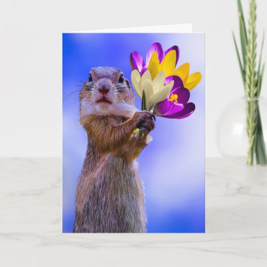 SQUIRREL BEKOMMEN GUT GREETING CARDS DANKESKARTE (Vorderseite)