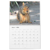 Squirrel Calendar 2022 Kalender (Mär 2026)