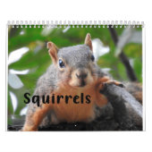 Squirrel Calendar 2022 Kalender (Titelbild)