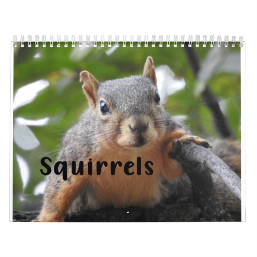 Squirrel Calendar 2022 Kalender (Titelbild)