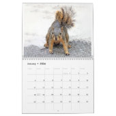 Squirrel Calendar 2022 Kalender (Jan 2026)