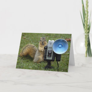 squirrel card large 100 karte