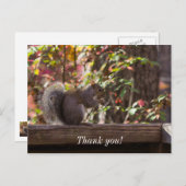 Squirrel Chow Time Danke Postcard Postkarte (Vorne/Hinten)