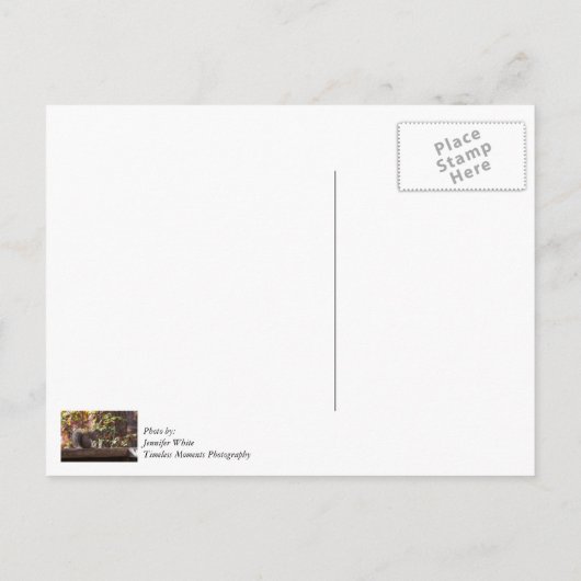 Squirrel Chow Time Danke Postcard Postkarte (Rückseite)