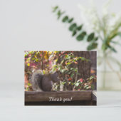 Squirrel Chow Time Danke Postcard Postkarte (Stehend Vorderseite)