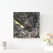 Squirrel Clock Quadratische Wanduhr (Zuhause)